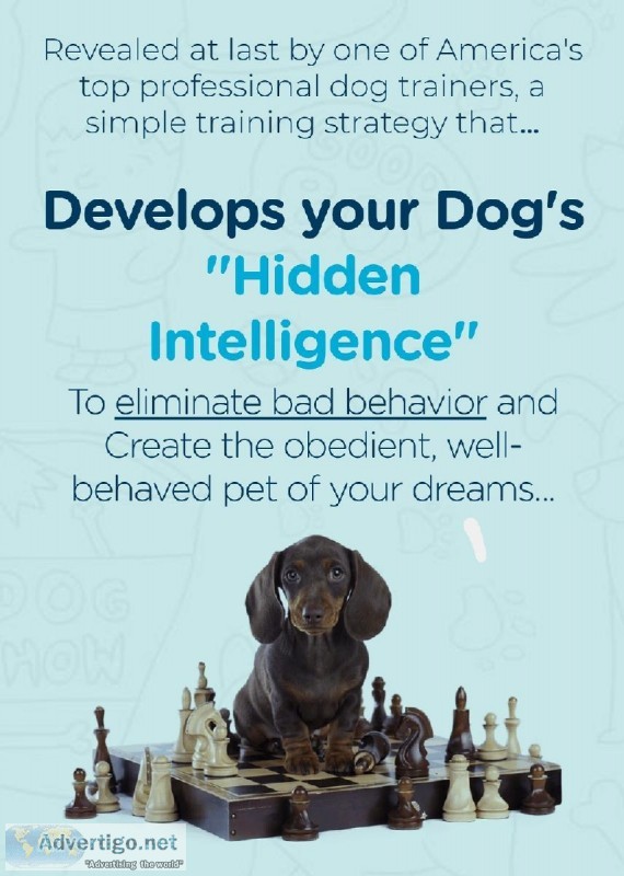 Train Your Dog 