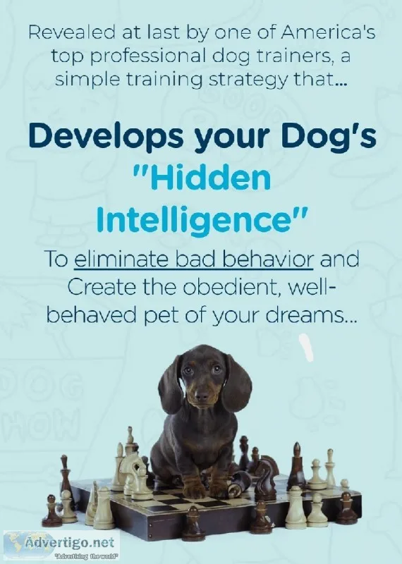Train Your Dog 