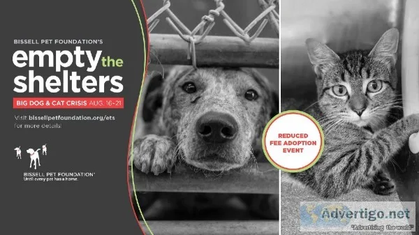 Pet Adoption Event