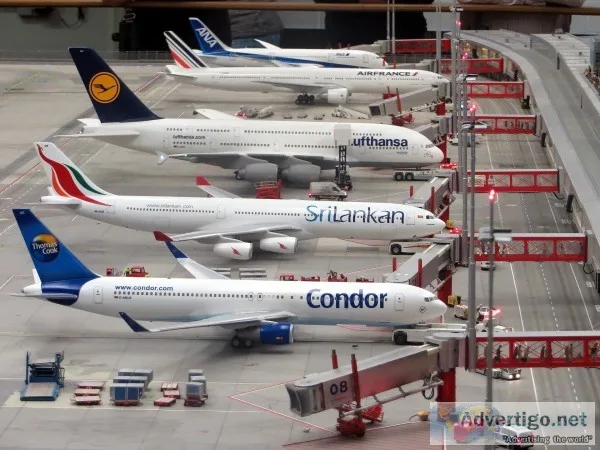 Start online courses for aviation management now