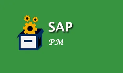 Best sap pm online training in india