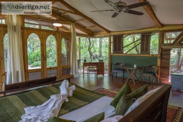 Tree house Lonavala - The machan