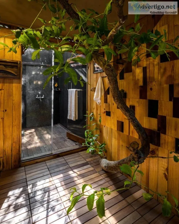 Tree house in Lonavala - The machan