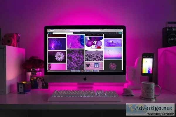 Professional Custom Website Developer WordPress and Shopify