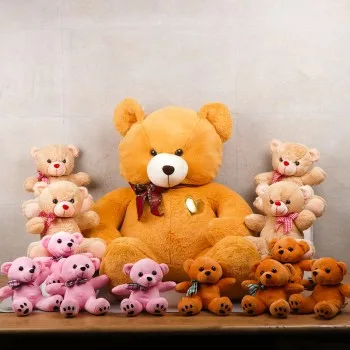 Buy send soft toys for girlfriend from myflowertree