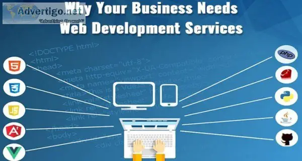 Why You Need a Web Development Company For Your Website