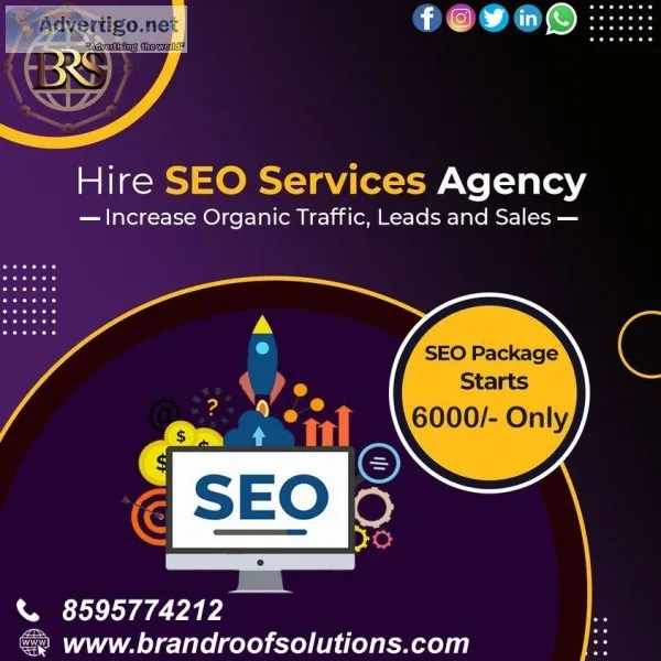 Search Engine Optimization services Agency in Delhi  Brand Roof 