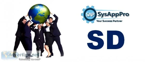 SAP SD Training Course in Noida