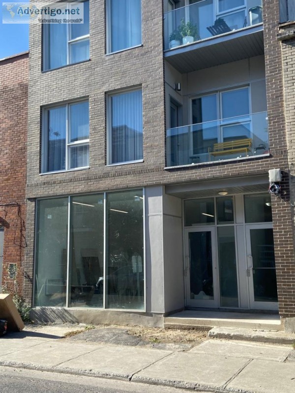 Office loft in a beautiful urbain environment Petite-Patrie