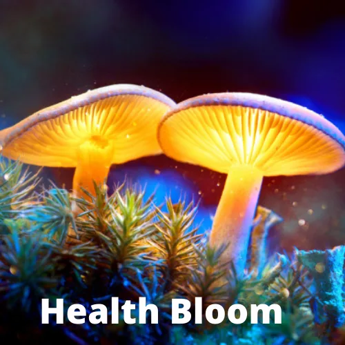 High quality magic mushrooms