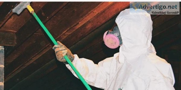 Mold Removal Lafayette La