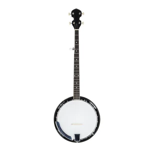 Pro Banjo For Sale