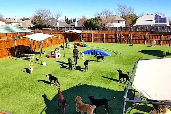 Dog Care Center OKC USA.