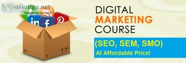 Digital Marketing Course in Noida - 100% Live Project Training