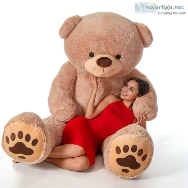Find Graduation Bear Gift