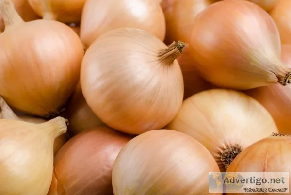 Iranian onion exporter
