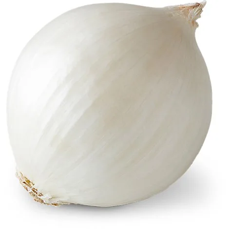 Iranian onion exporter