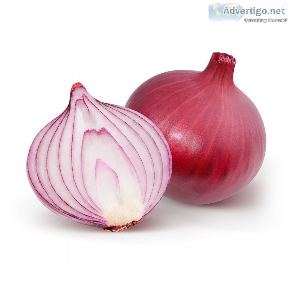 Iranian onion exporter