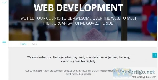 Website development