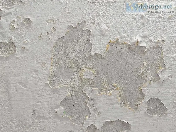 Water Seepage Waterproofing Contractors