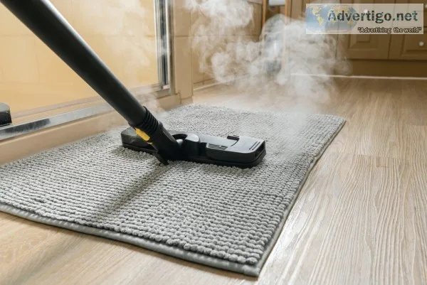 Professional Carpet Mould Removal Hobart