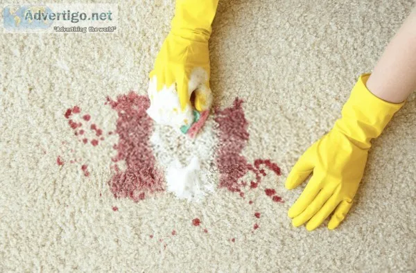 Famous Carpet stain removal Hobart