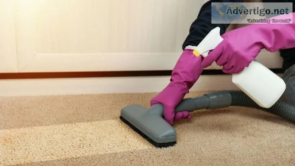 Professional Pet Stain Removal Sydney