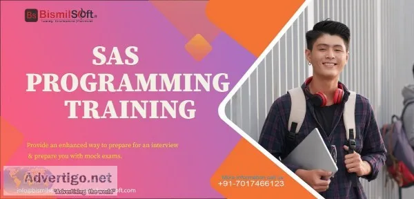 SAS Training In Delhi