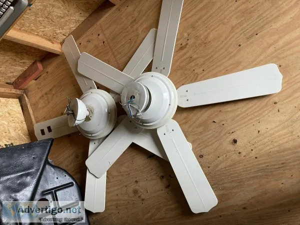 Two Ceiling fans
