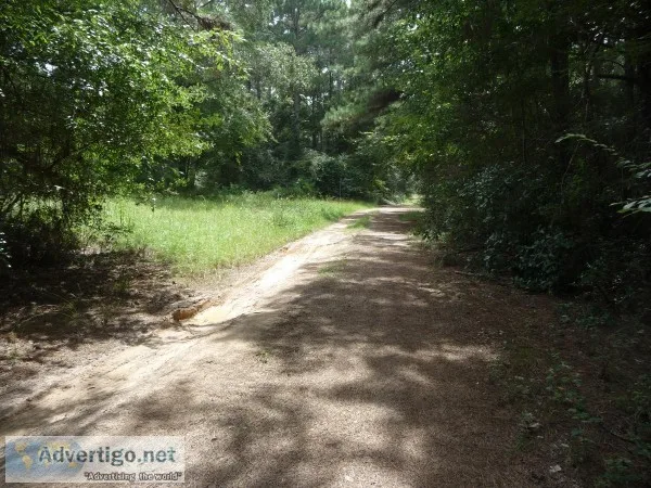Lot near cul-de-sac about one hour west of downtown Houston