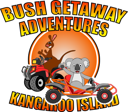 Quad Bike Tours Kangaroo Island  Go Karts  Bush Getaway Adventur