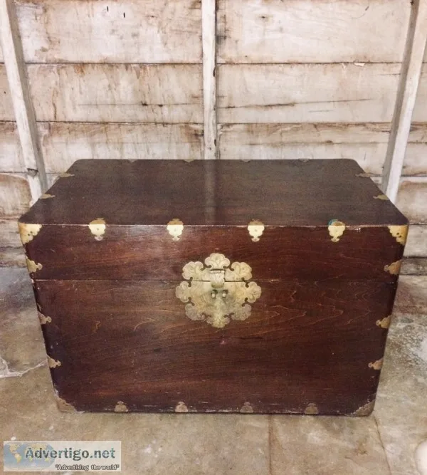      TRUNK   CHEST    