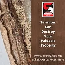 Pest Control Services in Lower Parel - Sadguru Pest Control