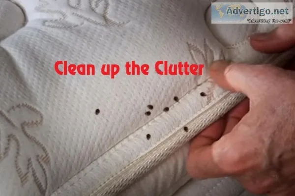 Pest Control Services in Kandivali-Sadguru Pest Control