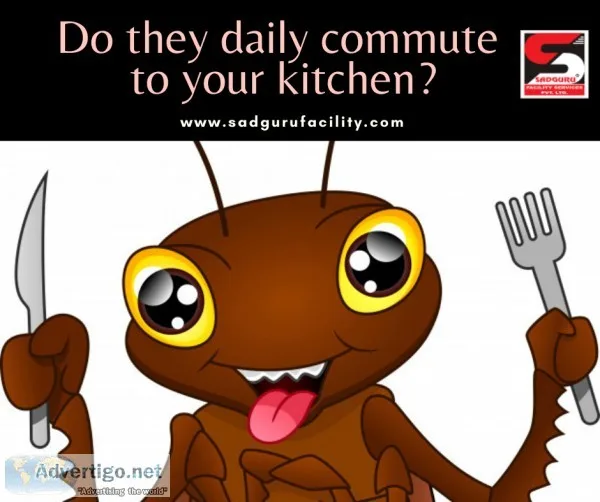 Pest control near me - sadguru pest control