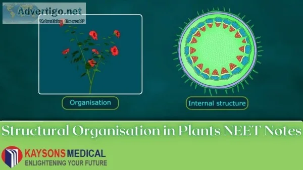 Structural organisation in plants NEET notes