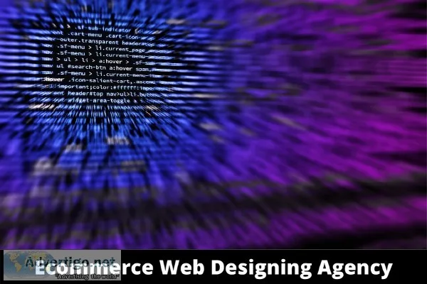 Ecommerce Web Designing Agency