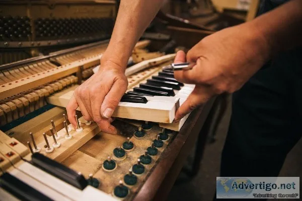 Bills Piano &ndash Piano Repairing and Tuning Services