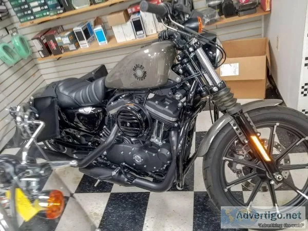 2019 Harley Sportster XL883N