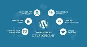 Wordpress Theme Design Services