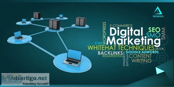 Best digital marketing agency in india and canada -tecnosys inc