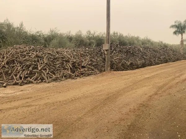 Seasoned top quality olive firewood