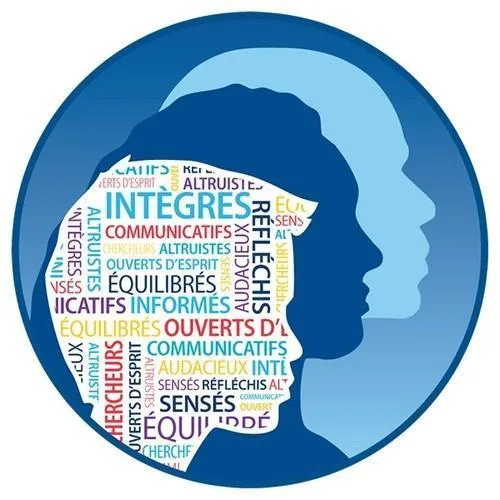 IB physics HL SL online tuition tutor