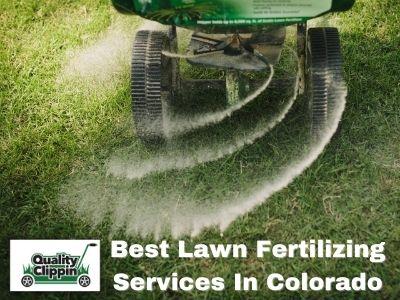 Take Proper Care Of Your Place With Lawn Fertilizing Services