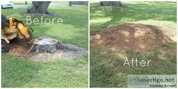Tree Removal--Tree Trimming--Stump Removal--Land Clearing