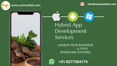 Hybrid Software Development Company  Hybrid Mobile App Developer