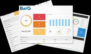 Website audit