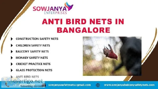 Anti Bird Nets in Bangalore