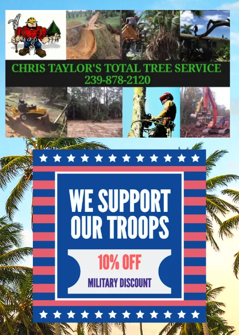 Tree Removal--Tree Trimming--Stump Removal--Land Clearing
