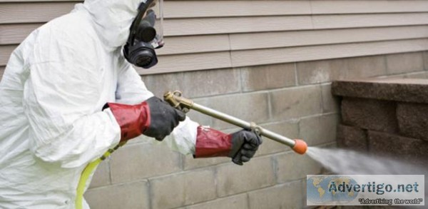 Termite Inspection Redland